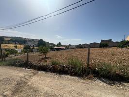 🏗️ ¡Invierte en una ubicación con futuro! Terreno urbano-industrial en Alcalá la Real – 3.950 m² de oportunidades 🏡 photo 0