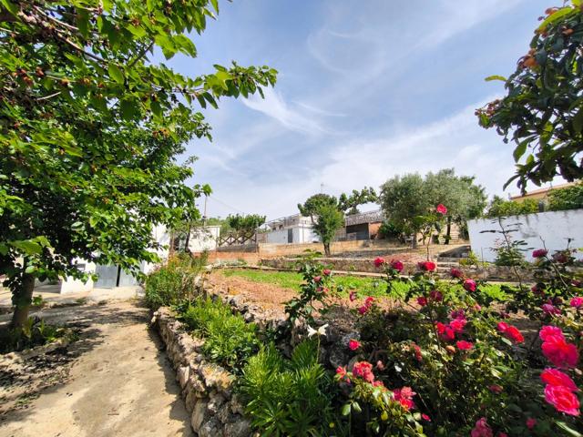 Casa en plena naturaleza en Mas Llorenç, Alcover – Tranquilidad y confort photo 0