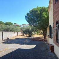 Oportunidad: chalet a reformar con piscina y gran parcela photo 0