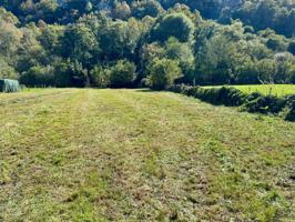 Terreno Urbano de 2.500 m2 para hacer tu casa soñada photo 0