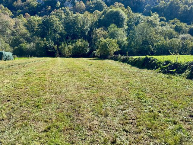 Terreno Urbano de 2.500 m2 para hacer tu casa soñada photo 0