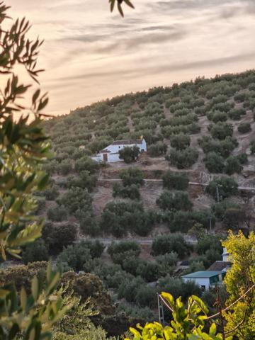 Cortijo tradicional con encanto junto al Pantano de Iznájar – Arroyo de Priego photo 0
