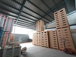 Nave Industrial photo 0