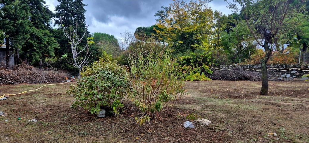 Terreno con dos casitas bajas adosadas en Collado Villalba (estación) photo 0