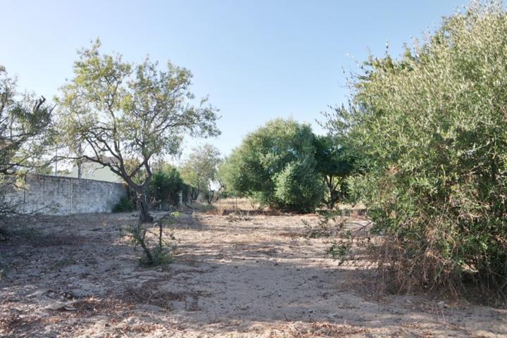 Casa De Campo En venta en La Jara, Sanlucar De Barrameda photo 0