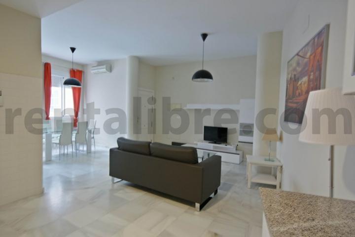 Vivienda tipo loft photo 0