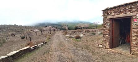 Terreno de regadío en Sierra Nevada con Cortijo de Aperos photo 0