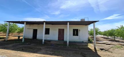 Finca Rústica en Utrera – 25.757 m² con Almendros photo 0