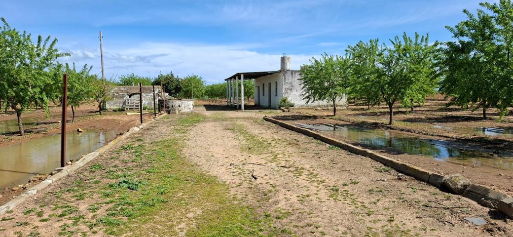 Finca Rústica en Utrera – 25.757 m2 con Almendros photo 0
