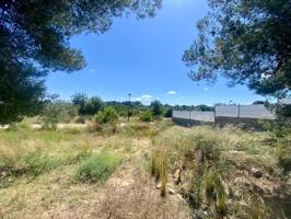 ¡Tu oportunidad de construir la casa de tus sueños en Torrent El Vedat-Santa Apolonia! photo 0