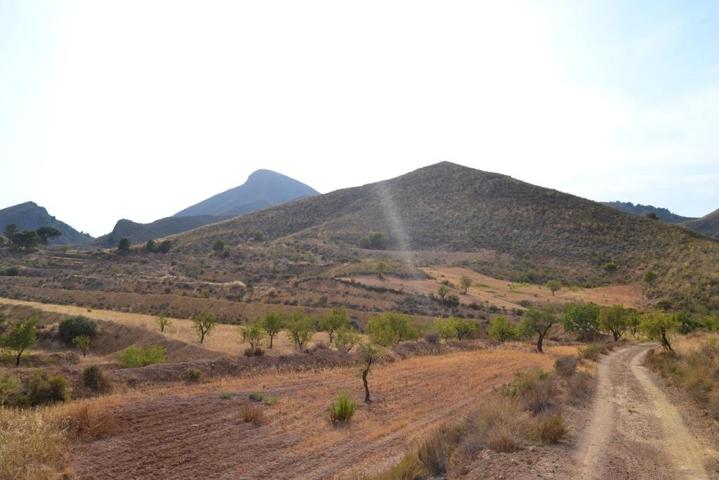 FINCA DE CULTIVO EN LA SIERRA DE ALMENARA photo 0