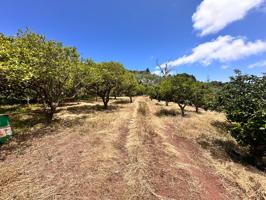 Terreno con cueva photo 0