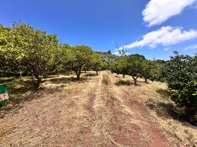 Terreno con cueva photo 0
