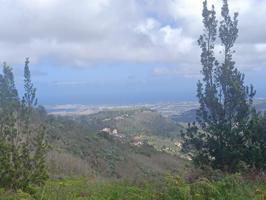 Finca en Teror photo 0