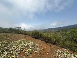 Finca en Teror photo 0