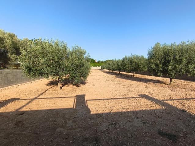 2 parcelas planas de un total de 888m2 en Urb LAlzineta (Montferri) photo 0