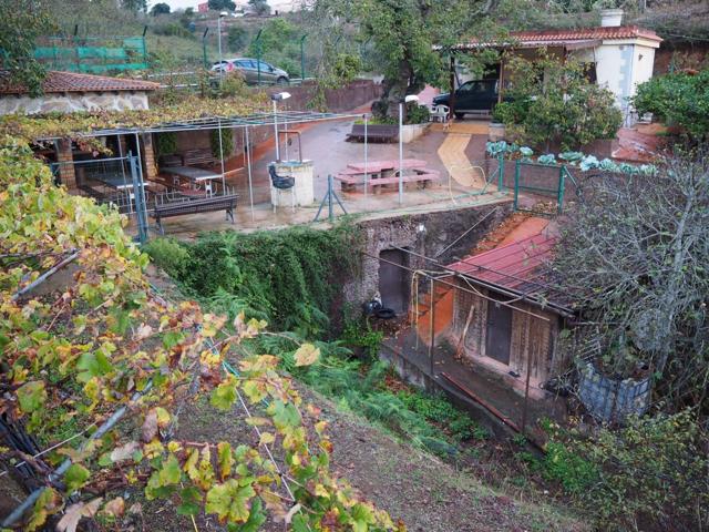 Se vende finca con casa. La Esperanza photo 0