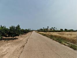 Terreno en alquiler en L'Alcúdia photo 0