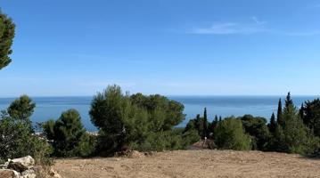 Agrícola En venta en Málaga photo 0