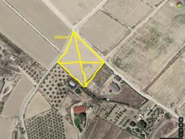 Terreno Urbanizable En venta en Corazón De María, Lorca photo 0