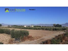 Terreno Urbanizable En venta en Purias, Lorca photo 0