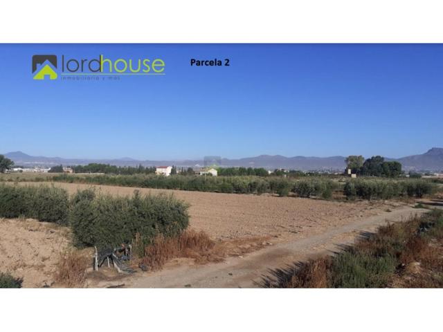 Terreno Urbanizable En venta en Purias, Lorca photo 0