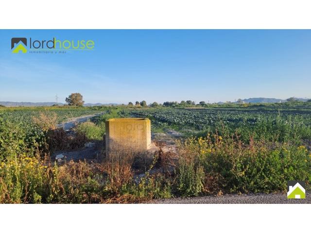 Terreno Urbanizable En venta en Campillo, Lorca photo 0