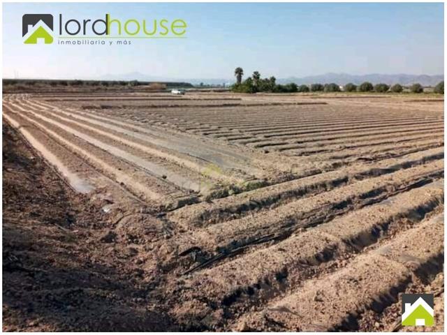 Terreno Urbanizable En venta en Cazalla, Lorca photo 0