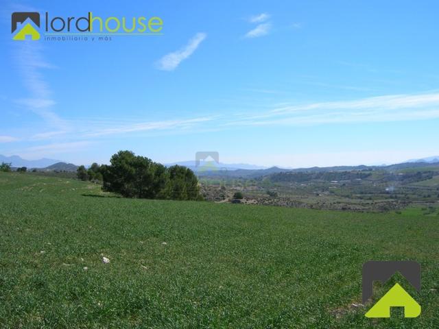 Terrenos Edificables En venta en Aviles, Lorca photo 0