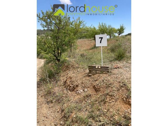 Granja En venta en Aviles, Lorca photo 0