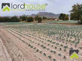 Terrenos Edificables En venta en Corazón De María, Lorca photo 0