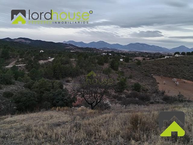 Otro En venta en Ortillo, Lorca photo 0