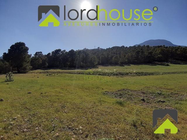 Terrenos Edificables En venta en Aviles, Lorca photo 0