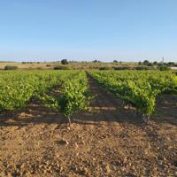 Terreno Urbanizable En venta en Mora, Mora photo 0