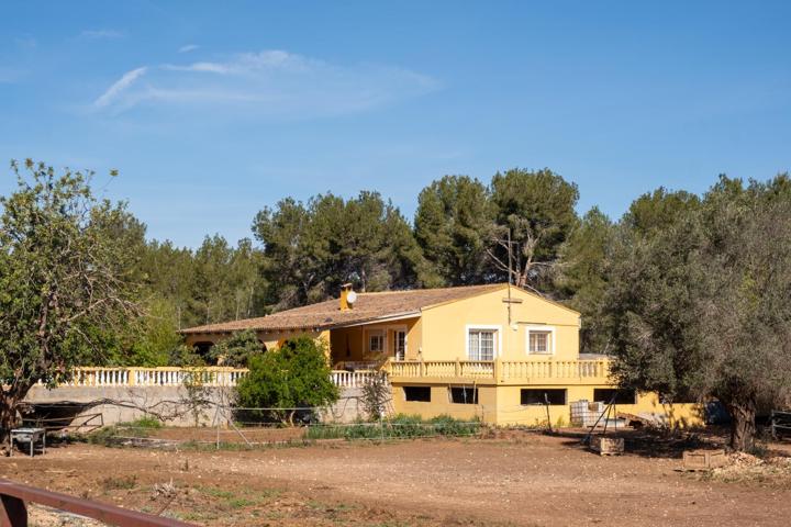 FINCA A LA VENTA EN BETERA, CHALET, HÍPICA Y RESTAURANTE photo 0