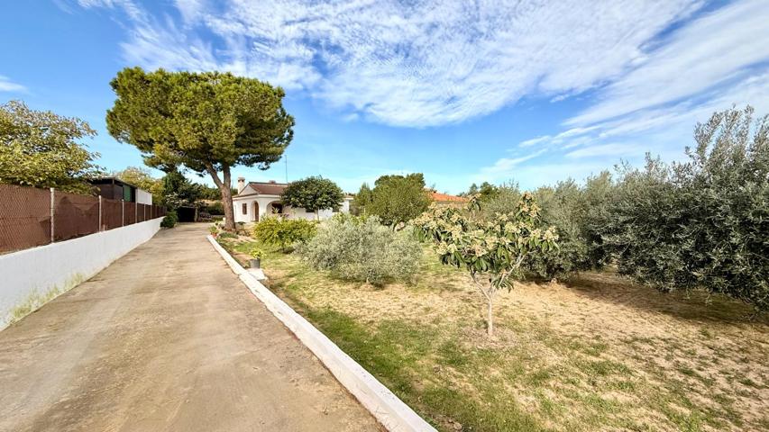 ¡FANTÁSTICO CHALET INDEPENDIENTE CON PISCINA EN TORRENT! photo 0