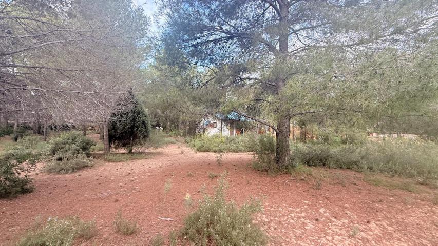 ¡Parcela Urbana de 1808 m2 en Albalat dels Tarongers! photo 0