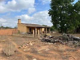 TERRENO EN SINEU PARA CONSTRUIR VIVIENDA DE 800 m2 photo 0