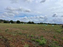 Terreno en Sencelles photo 0