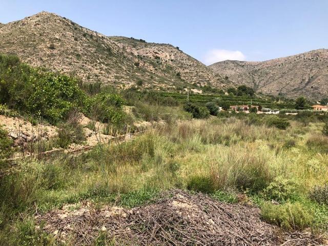 TERRENO EN ASPE photo 0