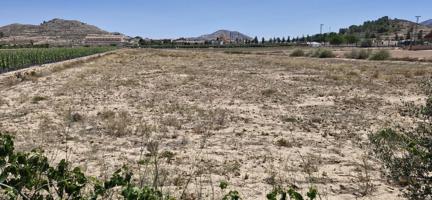 20.000m2 DE TERRENO PARA EDIFICAR EN HONDON DE LAS NIEVES! photo 0