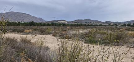 12000M2 TERRENO RUSTICO CON AGUA Y LUZ SOLO CONSTRUIR EL CHALET DE TUS SUEÑOS photo 0