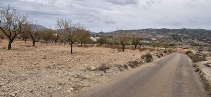 TERRENO 8500 M2 EN ABANILLA PARA COSNTRUIR photo 0