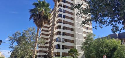 ÁTICO ESPECTACULAR en AV. ALCALDE LORENZO CARBONELL - ALICANTE photo 0