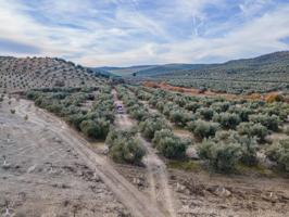 FINCA DE OLIVOS Y ALMENDROS EN VEGAS DEL GENIL photo 0