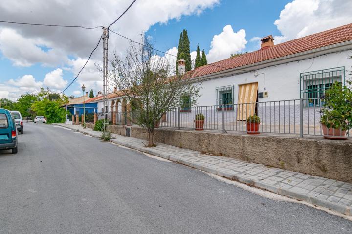 MAGNÍFICA CASA EN UNA PLANTA CON GRAN PARCELA EN UN ENTORNO IDÍLICO 🏡🌳🌿 photo 0