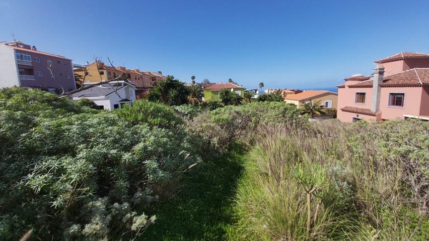 TERRENO EN VENTA EN CALLE TAJINASTE SAUZAL photo 0
