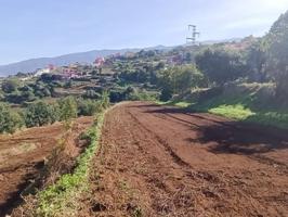 Se venden fincas rústicas en venta en Placeres – Los Realejos (venta conjunta) photo 0