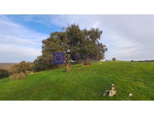 Otro En venta en Trujillo photo 0