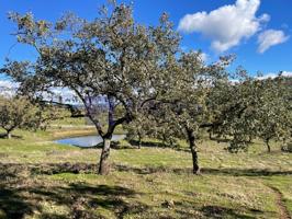 Granja En venta en Trujillo photo 0